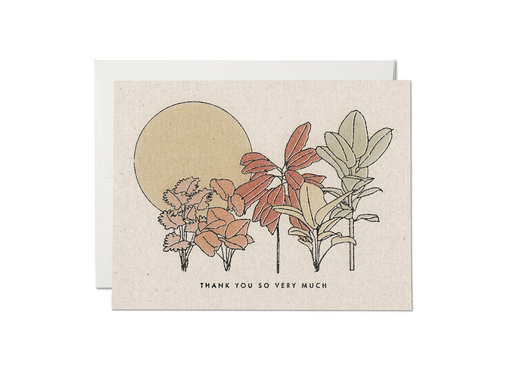 Thank You Card | Desert Flowers